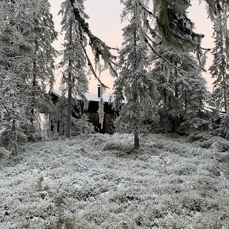 Chale Naava Villa Rukatunturi Exteriör bild