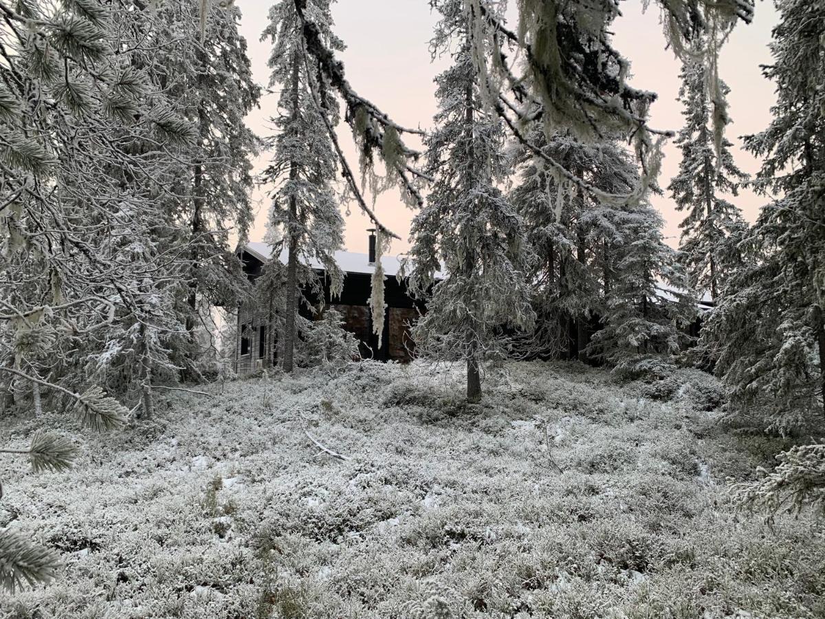 Chale Naava Villa Rukatunturi Exteriör bild