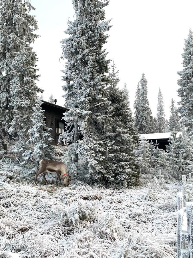 Chale Naava Villa Rukatunturi Exteriör bild