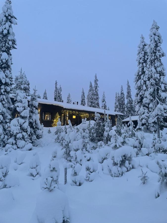 Chale Naava Villa Rukatunturi Exteriör bild